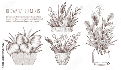 Collection of vector vintage illustrations with hand drawn home decoration elements, house plants, herbs,leaves and branches isolated on white background