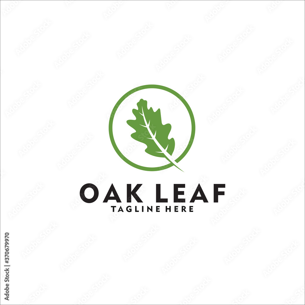 Fototapeta premium oak leaf logo design template silhouette vector