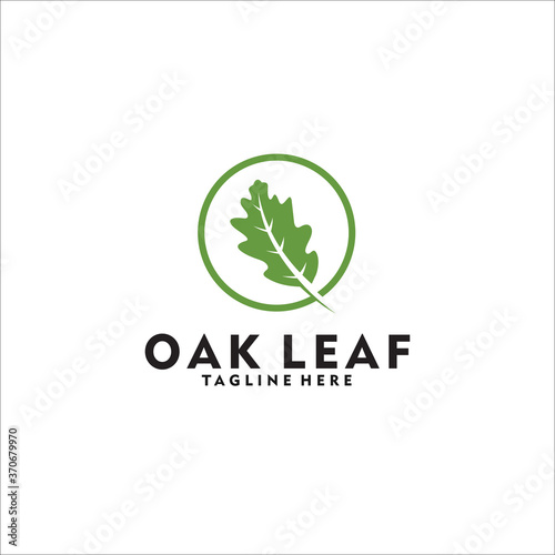 oak leaf logo design template silhouette vector