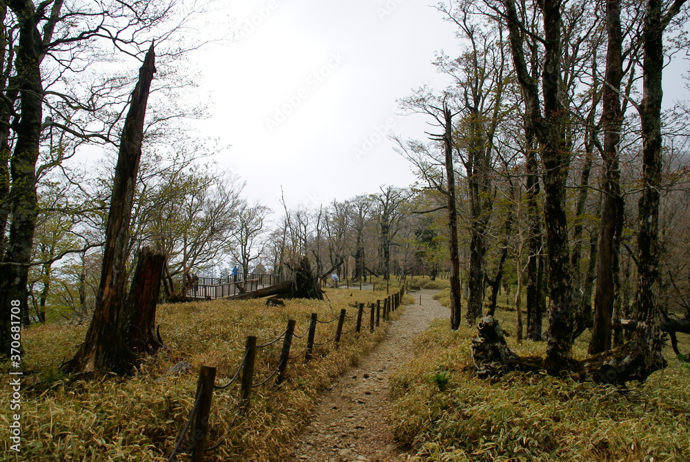 大台ヶ原 大台ヶ原