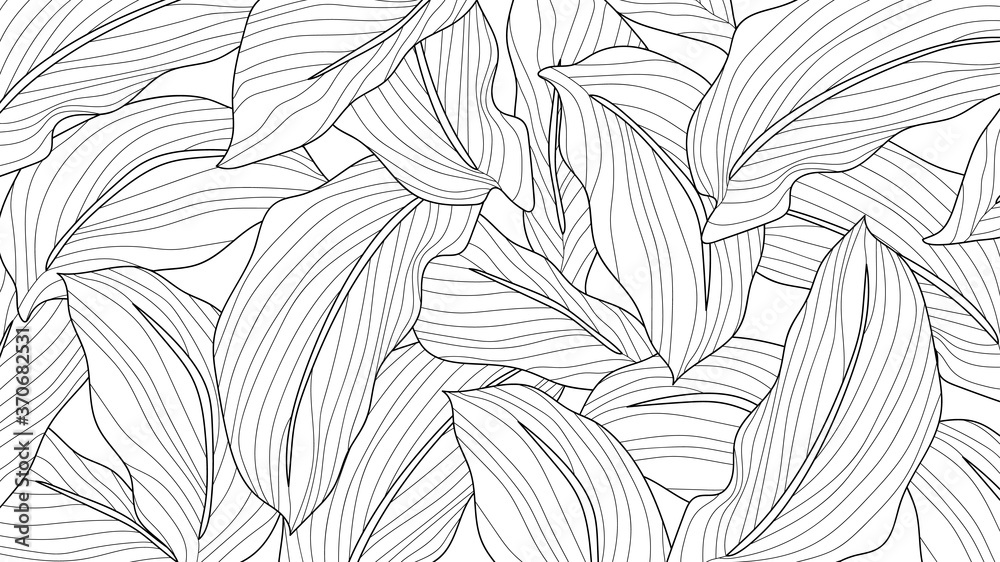 Fototapeta Black and white wallpaper design with leaf. Leaves line arts background design for fabric, prints and background texture, Vector illustration.