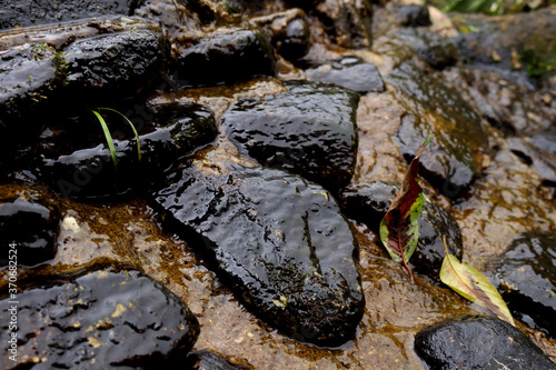 stream and stones