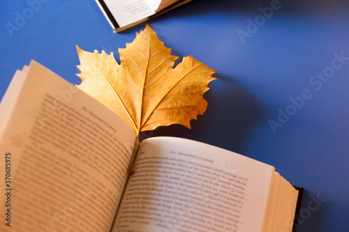 Opened old english book's pages blurred close-up words.