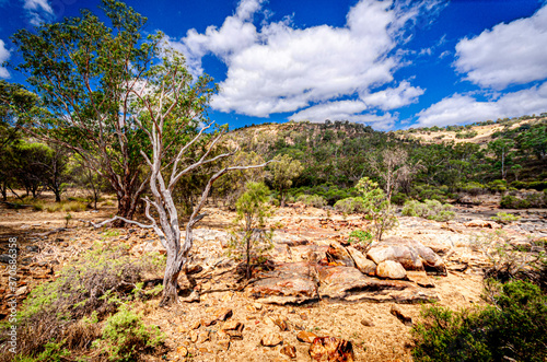 Western Aust Dry