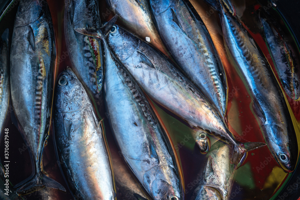 Obraz premium Basket with fresh fish in local asian fish market