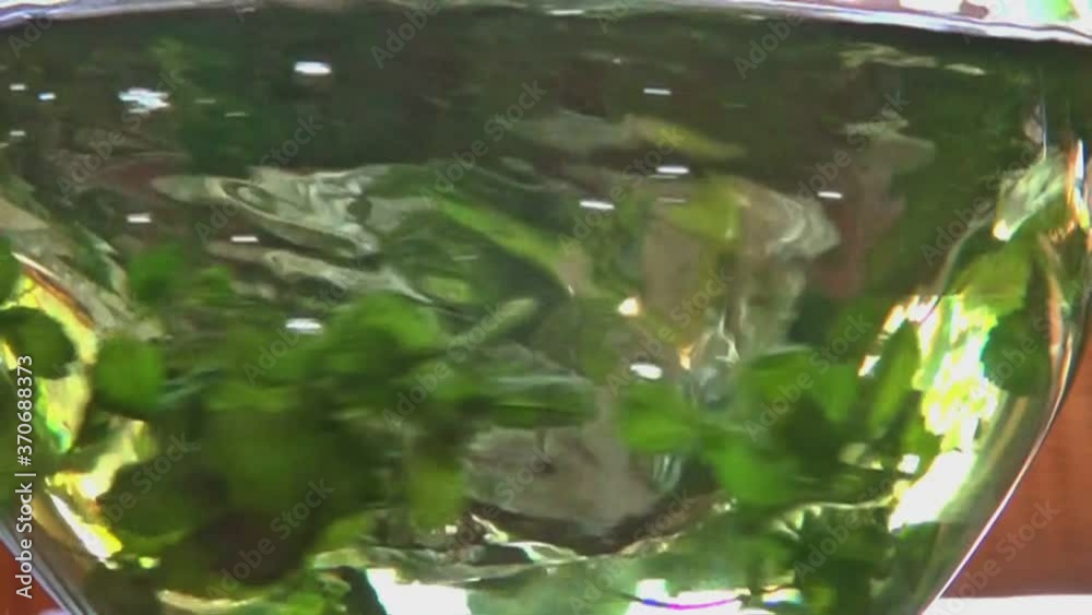 Grüne Minzeblätter werden in einer Wasserkaraffe verwirbelt. Wasserstrudel in Zeitlupenaufnahme. Grüner Tee wird angerichtet. Blätter Trichter Wirbelsturm.