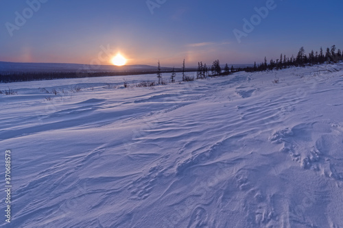 winter landscape with snow and trees