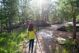 A girl with a stick walks along a path in a pine forest among rocks.