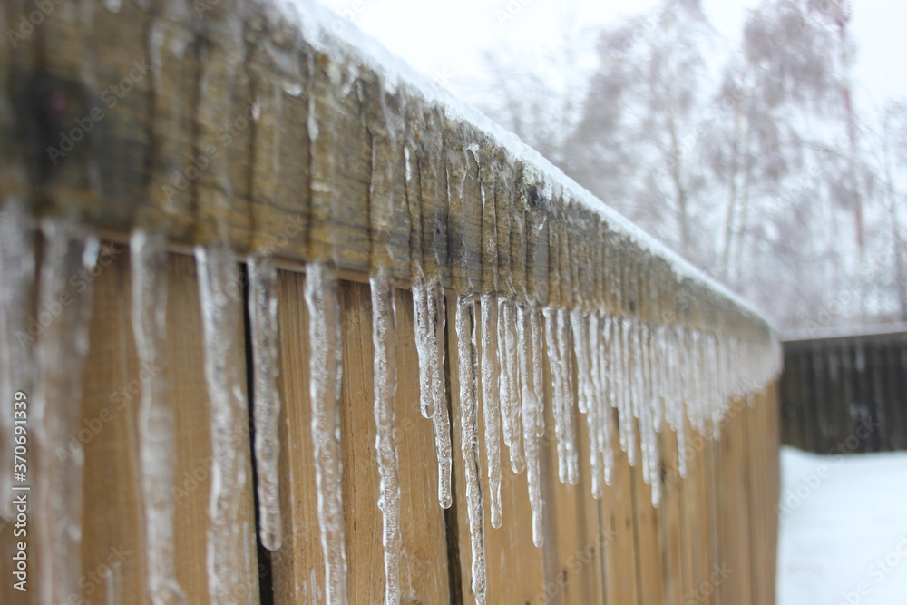 Fototapeta premium зима