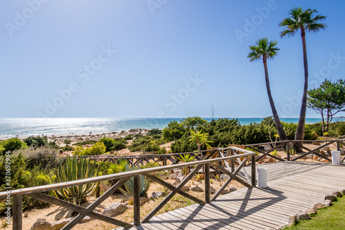 Sand dunes that give access to La Barrosa beach in Sancti Petri, Cádiz, Spain. photo