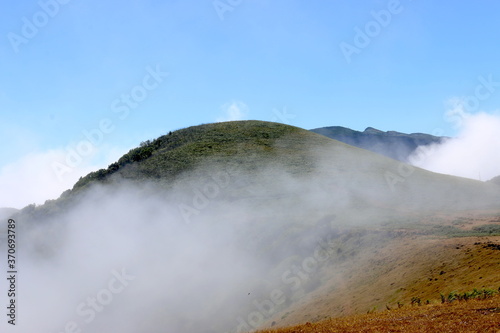 Fototapeta Naklejka Na Ścianę i Meble -  Mountain, Hill, Vereda do Fanal, Madeira