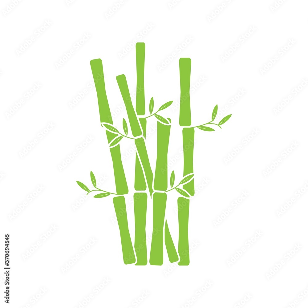 Fototapeta premium Bamboo with green leaf