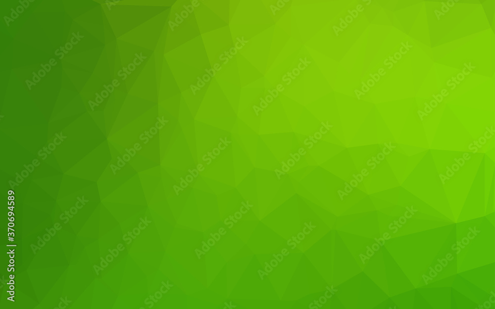 Light Green vector abstract polygonal layout. Light Green vector abstract polygonal layout.