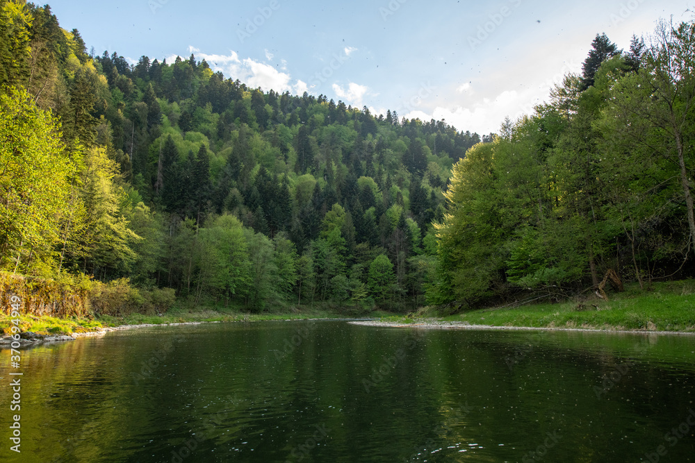 Obraz premium Dunajec river Valley in spring