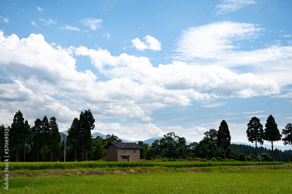 畑と空 畑と空