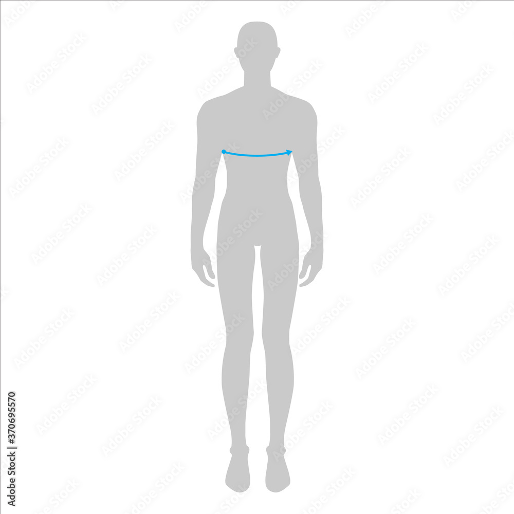 Men to do bust measurement fashion Illustration for size chart. 7.5 head size boy for site or online shop. Human body infographic template for clothes. Men to do bust measurement fashion Illustration for size chart. 7.5 head size boy for site or online shop. Human body infographic template for clothes.