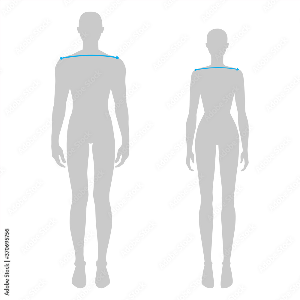 Women and men to do shoulder width measurement fashion Illustration for size chart. 7.5 head size girl and boy for site or online shop. Human body infographic template for clothes. Women and men to do shoulder width measurement fashion Illustration for size chart. 7.5 head size girl and boy for site or online shop. Human body infographic template for clothes.