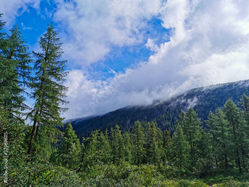 Valleys of the Altai mountains