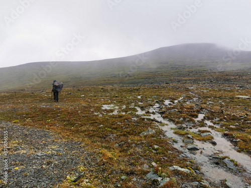 Valleys of the Altai mountains