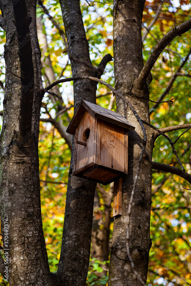 Birdhouse on a tree in a park. Birdhouse on a tree in a park.