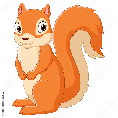 Cartoon happy squirrel isolated on white background
