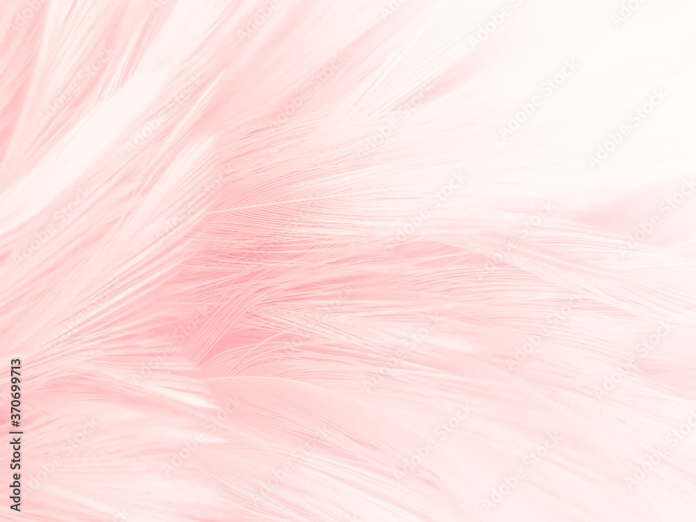 vergiftigen Sandy Leia Prachtige abstracte witte en roze veren op een witte achtergrond en zachte  witte veren textuur op roze patroon en roze achtergrond, veren achtergrond,  roze banners #370699713 - Fotobehang
