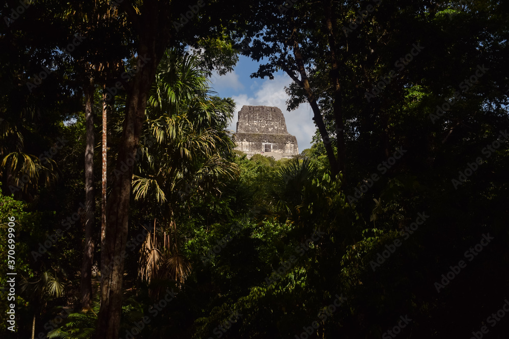 Mayan temple surrounded by jungle in Tikal national park