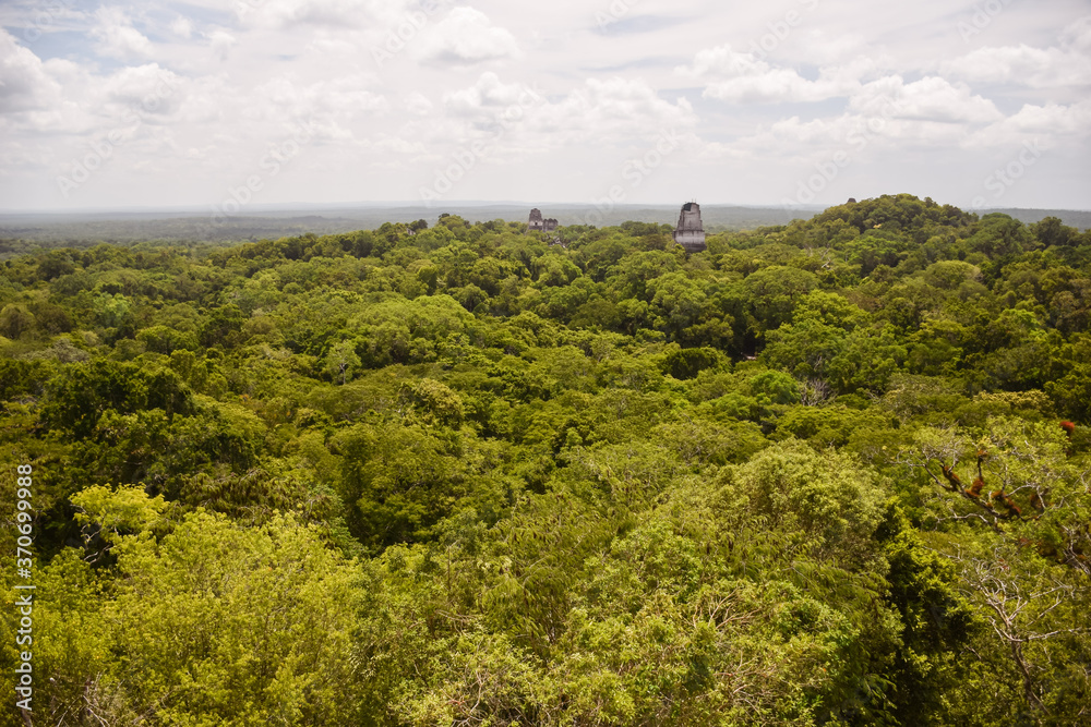 Mayan temple surrounded by jungle in Tikal national park