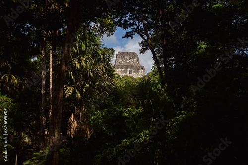Obraz na płótnie Mayan temple surrounded by jungle in Tikal national park w salonie