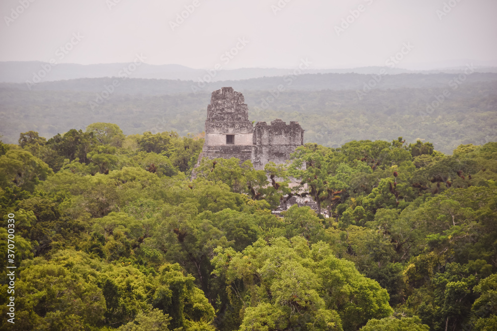 Mayan temple surrounded by jungle in Tikal national park