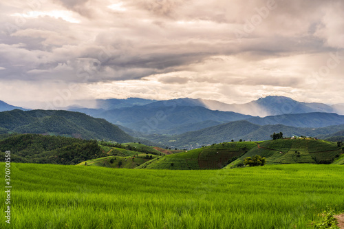 Beautiful Landscape green rice terraces field in Pa Pong Pieng, Chiangmai Thailand © Kittiphan