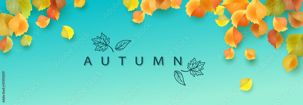 Autumn Leaves Banner - obrazy, fototapety, plakaty 