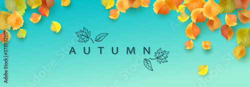 Autumn Leaves Banner