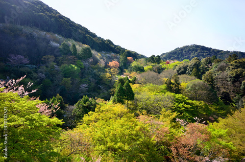 The scenery of Kiyomizu Temple seen from Stage of Kiyomizu at early April.