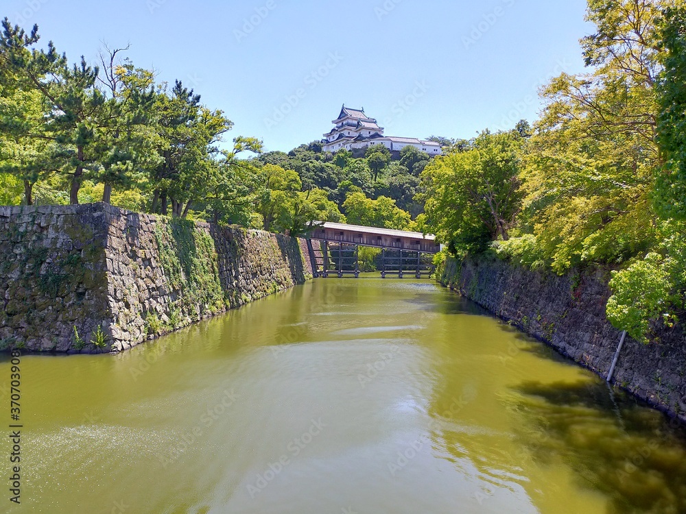 Fototapeta premium お堀と和歌山城