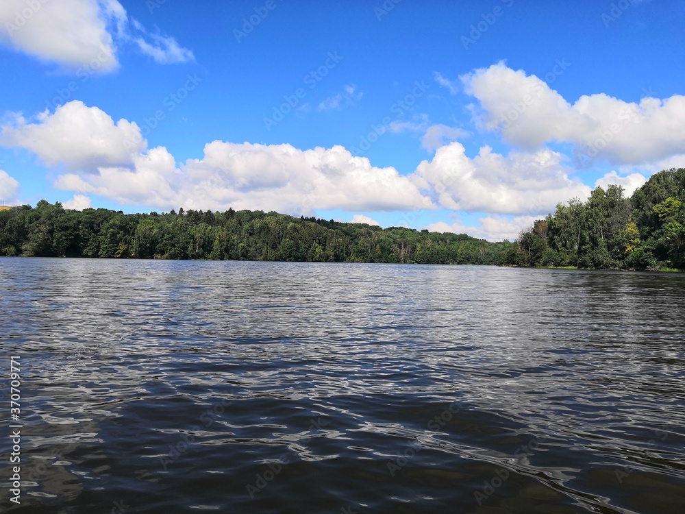 lake in the forest