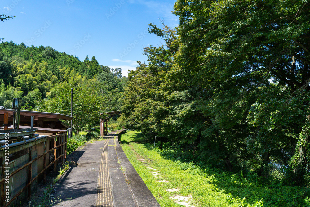 廃線になった日本の線路