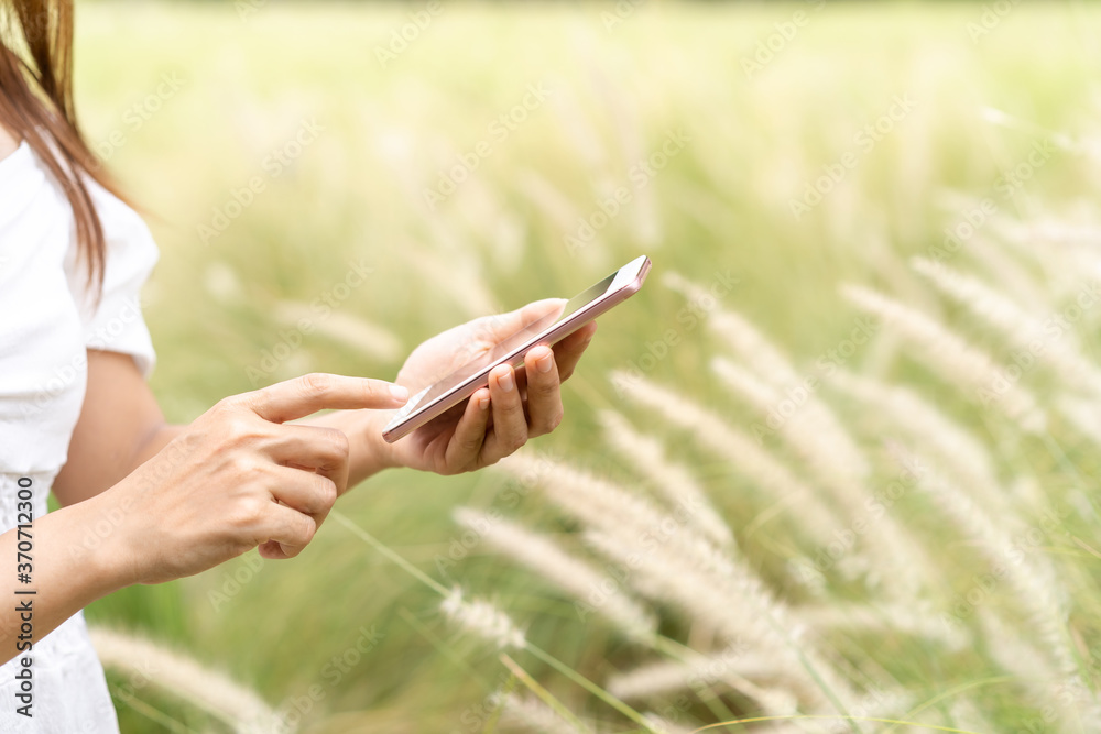 Young asian woman using smartphone in the flower field while traveling in summer