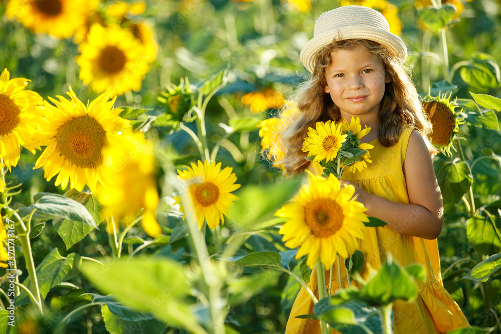 Child in a sunflower field. High quality photo. Child in a sunflower field. High quality photo.