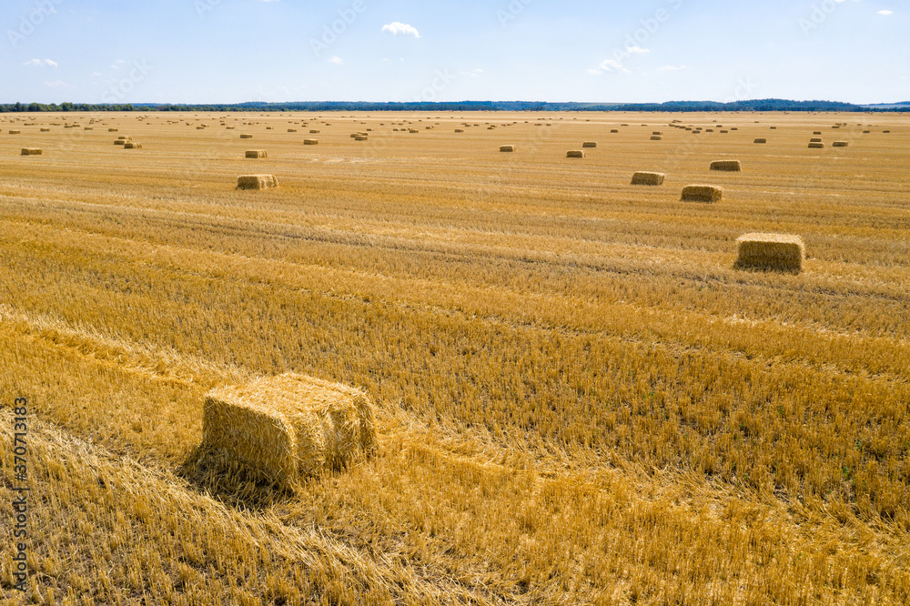 Round bales are bales of hay, straw or forage rolled in the shape of a large cylinder. When the legumes grow to a certain height, they are cut and dried in the field by the heat of the sun