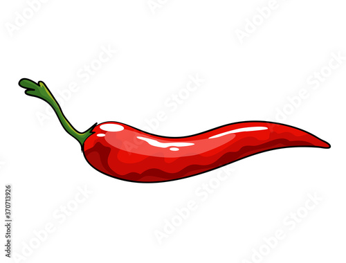 Hand drawn chili pepper. Isolated hot spicy mexican pepper on white background. Natural healthy food. Spicy ingredient