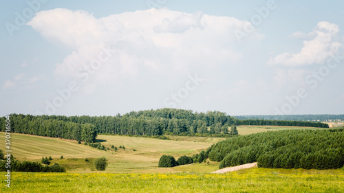 Beautiful summer rural landscape: fields, forests and blue sky. Tranquil landscape, green hills in summer. Concept about travel, tourism or study.