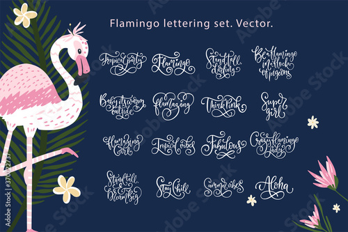 Summer lettering flamingo vector set. Summertime calligraphy quote collection. Perfect for girls tshirt print. Fabulous, aloha, stay chill and other holiday text templates.