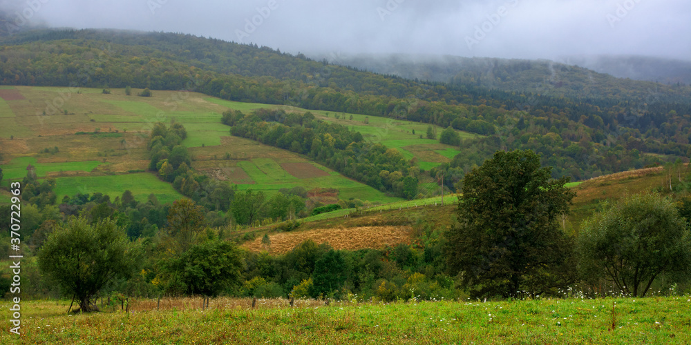 rural area in mountains. misty september morning. empty fields on the hills. overcast sky