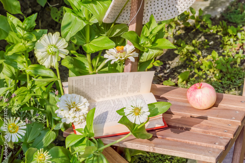 Apple, hat and book on a chair next to a flowerbed