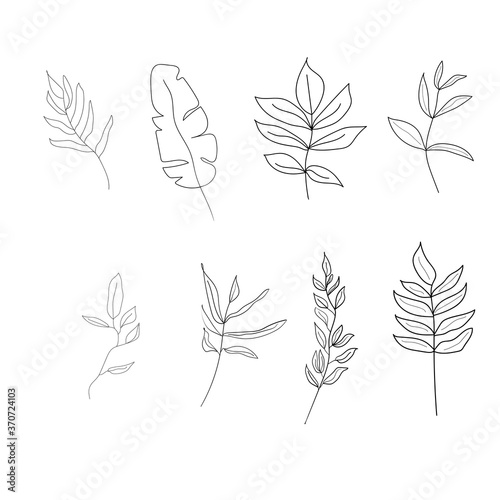 Hand drawn floral elements. Different kind of leaves. Floral sketch collection. Decorative elements for design. Vintage botanical vector illustrations.