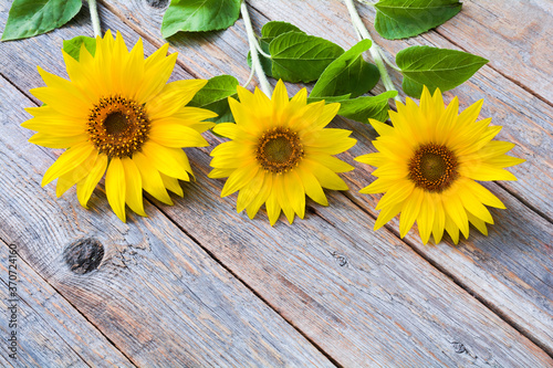 Fototapeta Naklejka Na Ścianę i Meble -  Beautiful yellow sunflower flowers on a wooden table
