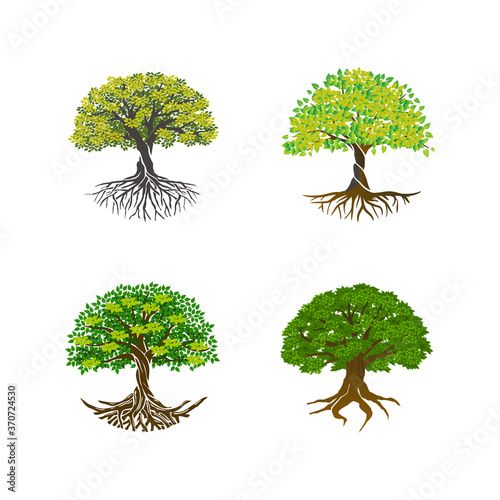 Photography Tree of Life or Tree and roots with round shape, vector illustration set