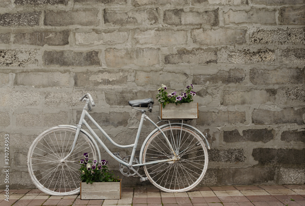 Vintage white bicycle on a background of a concrete wall with two boxes of flowers. Left location.