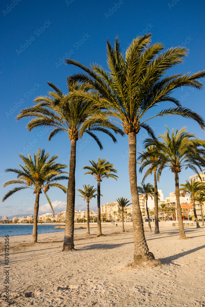 Arenal beach. Mallorca. Islas Baleares. Spain.
